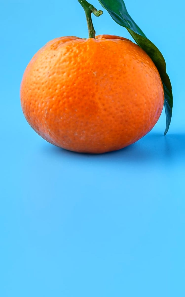 Orange Fruit stands on phone