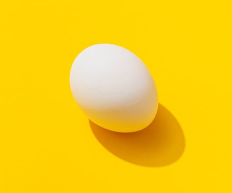 Egg Image Illustration